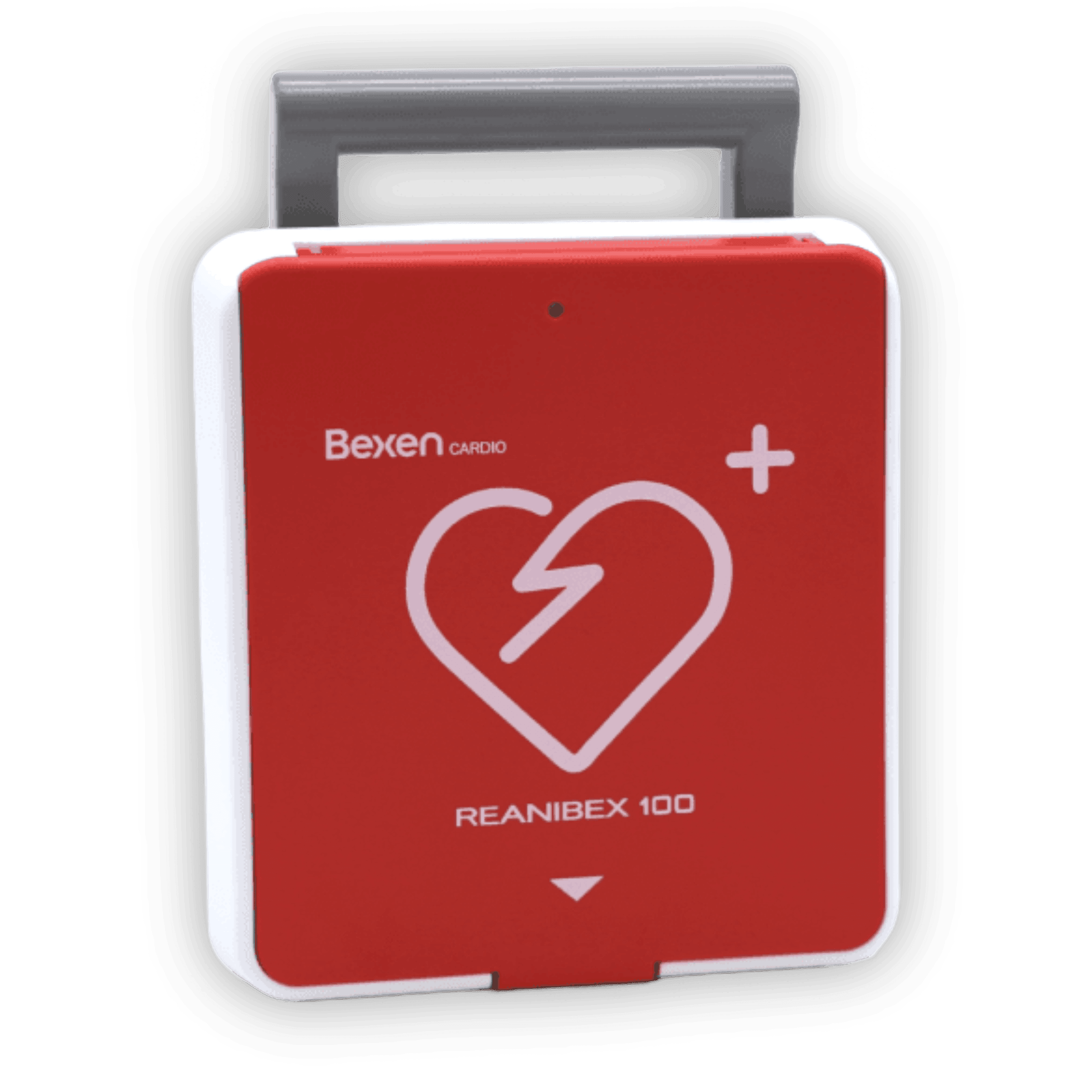 Reanibex R100 (no connectivity)
